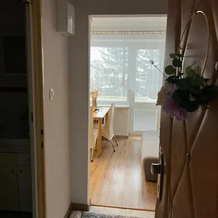 útulný Vintage 1-izbový * Trenčín