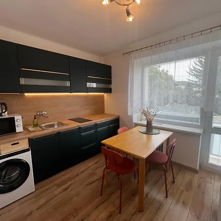 Utulny Vintage 1-izbovy Apartment *