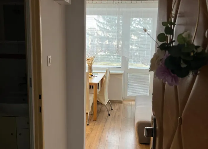 Utulny Vintage 1-izbovy * Trenčín