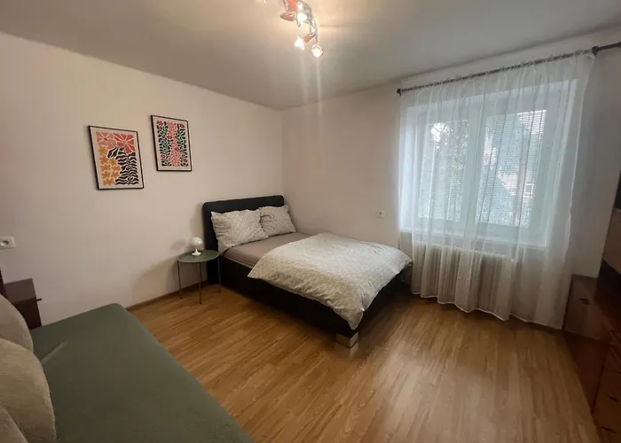 Utulny Vintage 1-izbovy Appartement *